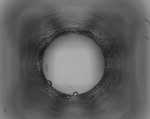 X0000091671109200709131523