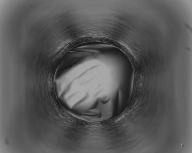 X0000091671110200709131523