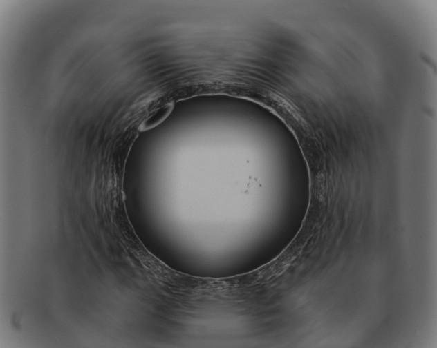 X0000091671111200709131523