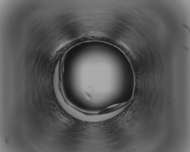 X0000091671112200709131523