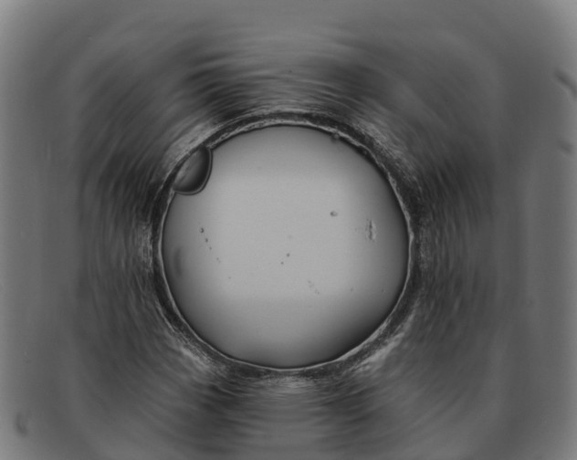 X0000091671113200709131523