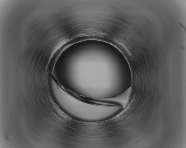 X0000091671114200709131523