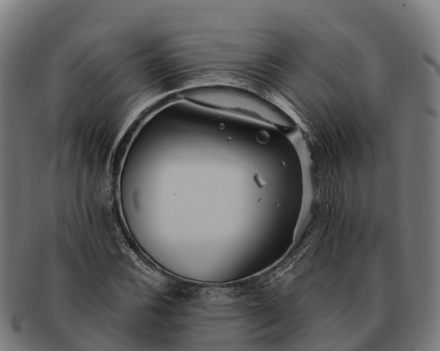 X0000091671116200709131523