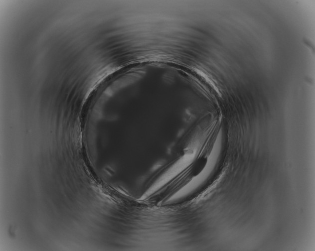 X0000091671117200709131523