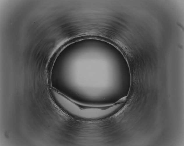 X0000091671118200709131523