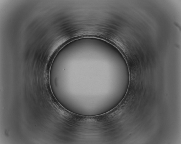 X0000091671119200709131523