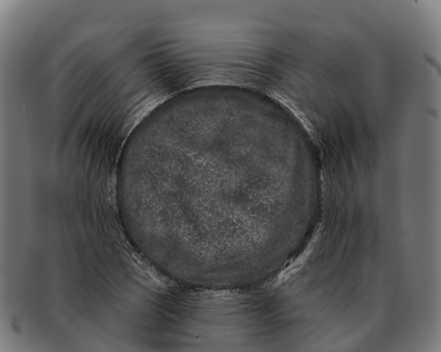 X0000091671121200709131523