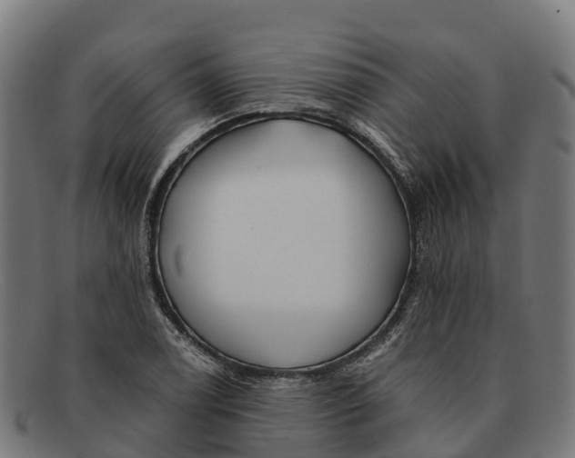 X0000091671122200709131523