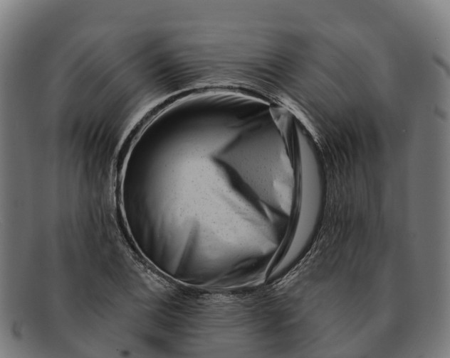 X0000091671124200709131523