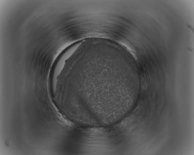 X0000091671125200709131523