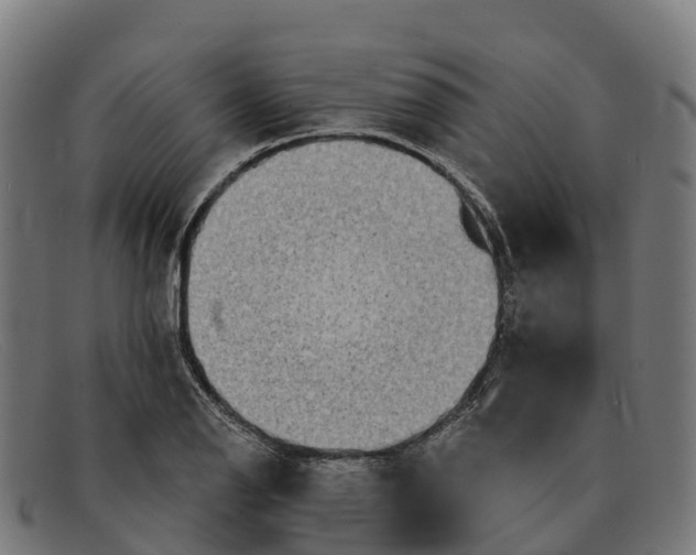 X0000091671126200709131523