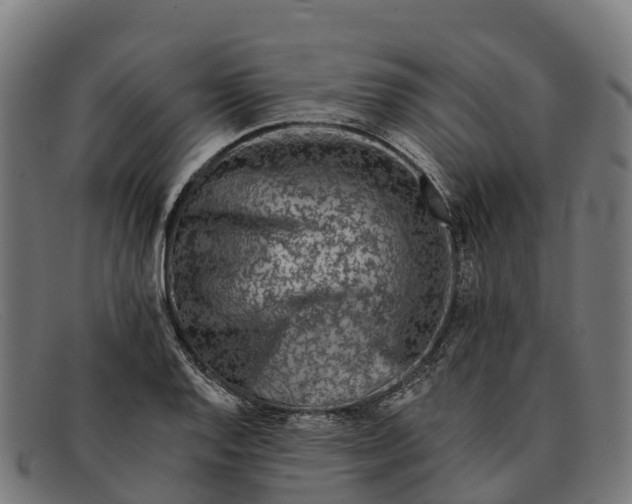 X0000091671128200709131523