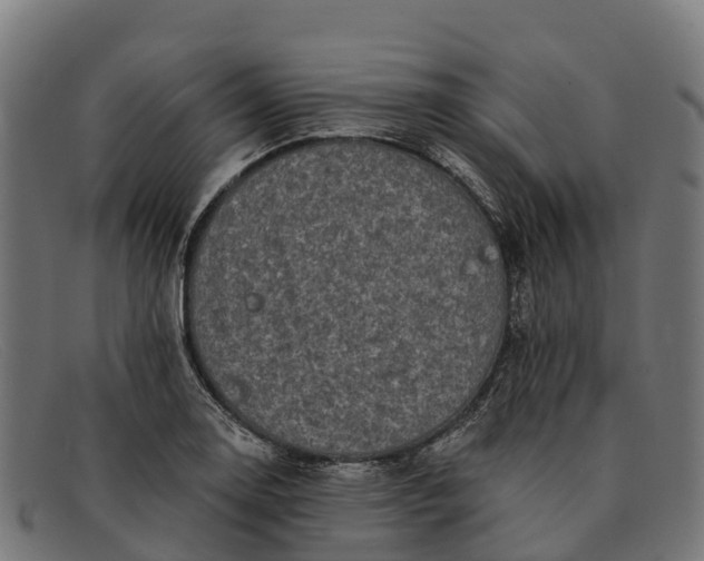 X0000091671130200709131523