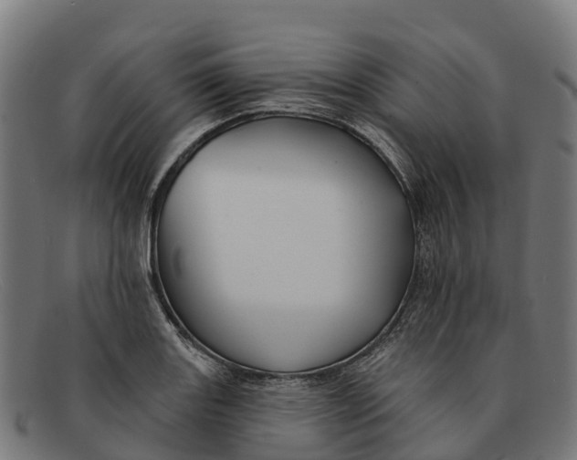 X0000091671131200709131523