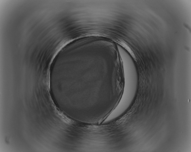 X0000091671132200709131523