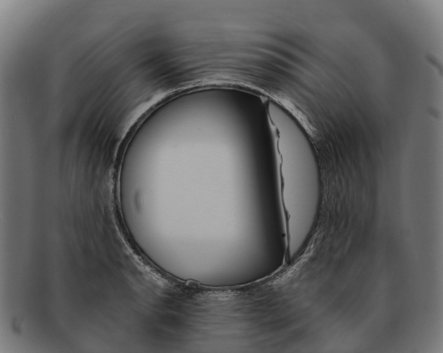 X0000091671134200709131523