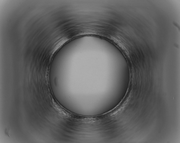 X0000091671137200709131523