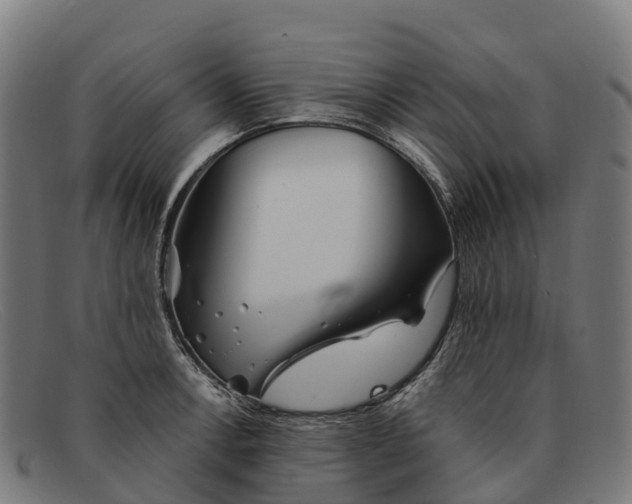 X0000091671138200709131523