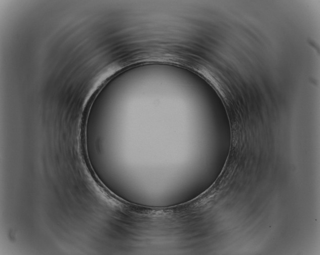 X0000091671139200709131523