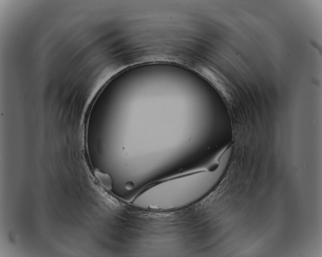 X0000091671140200709131523