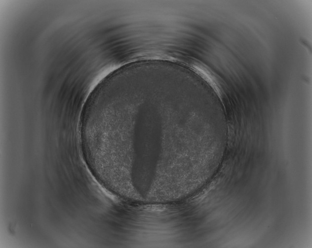 X0000091671141200709131523