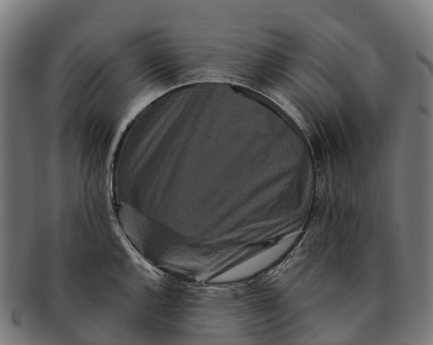 X0000091671144200709131524