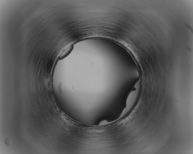 X0000091671145200709131524