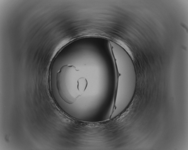 X0000091671146200709131524