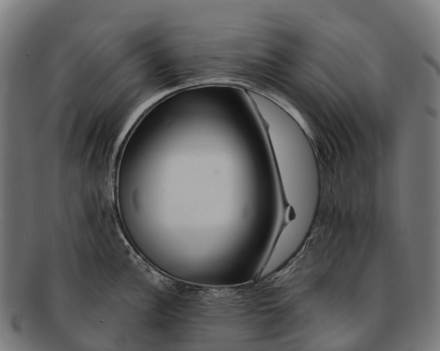 X0000091671148200709131524