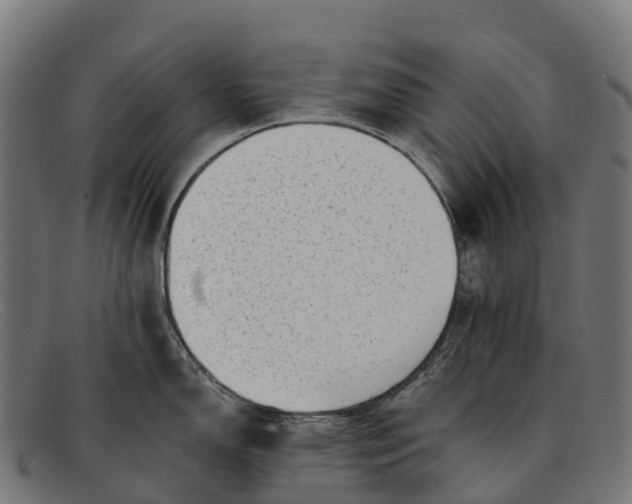 X0000091671150200709131524