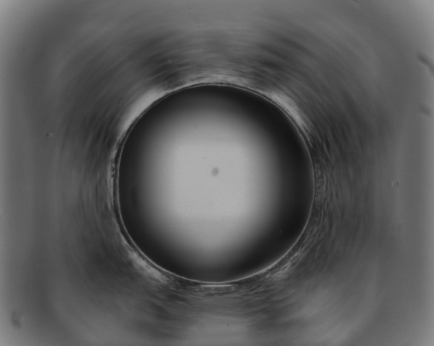 X0000091671151200709131524