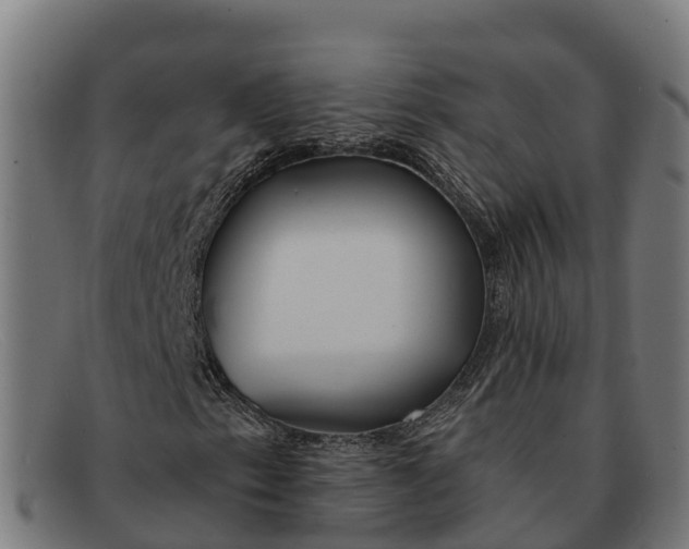 X0000091671153200709131523