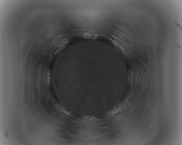 X0000091671154200709131523