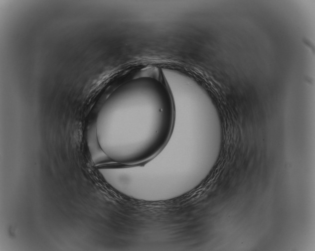 X0000091671157200709131523