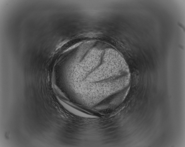 X0000091671158200709131523