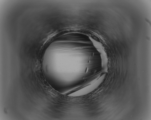 X0000091671160200709131523