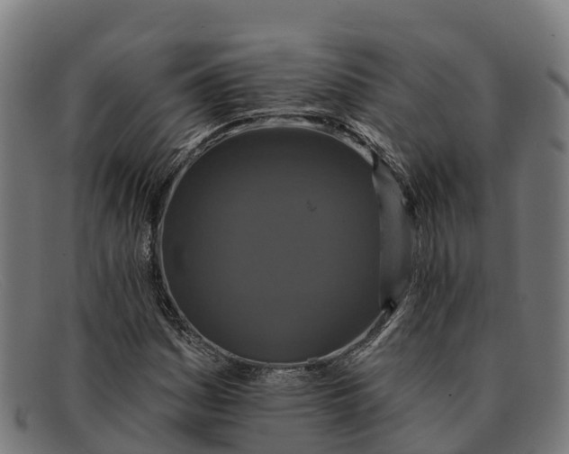 X0000091671161200709131523