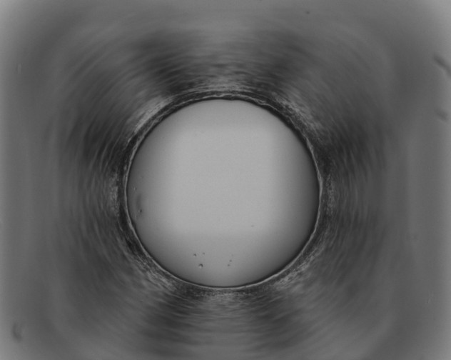 X0000091671162200709131523