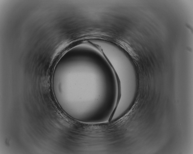 X0000091671164200709131523