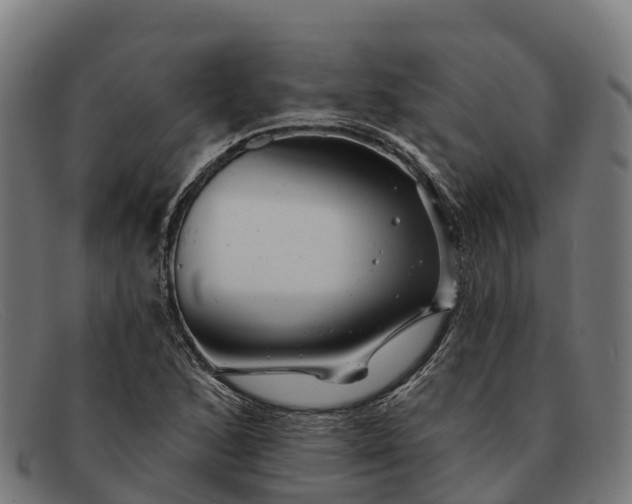 X0000091671168200709131523