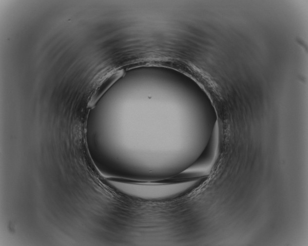 X0000091671169200709131523