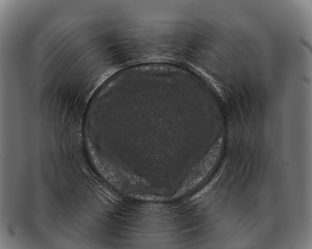 X0000091671170200709131523