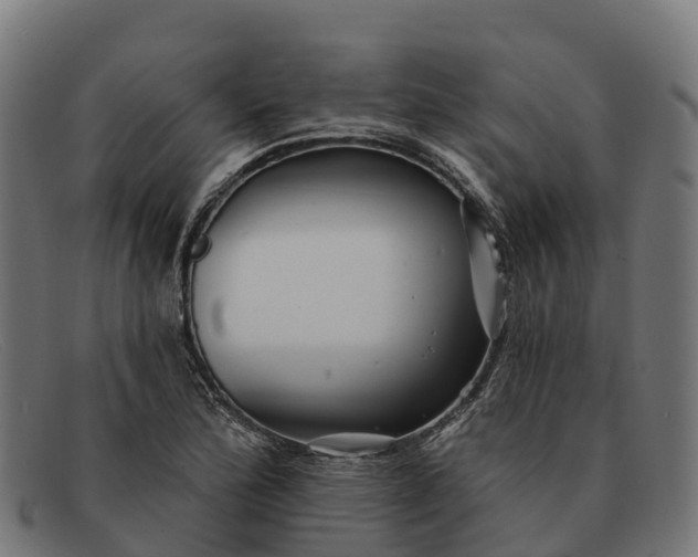 X0000091671172200709131523