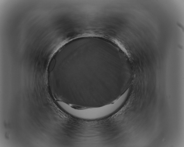 X0000091671173200709131523