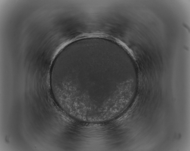 X0000091671174200709131523