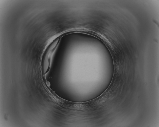 X0000091671176200709131523