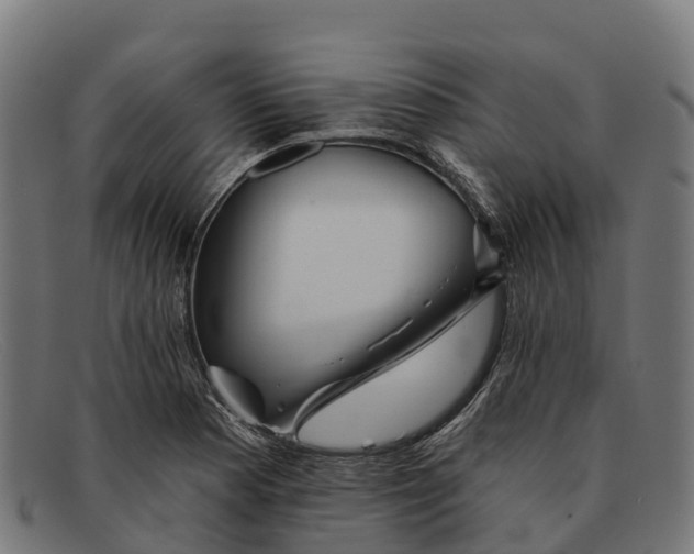 X0000091671177200709131523