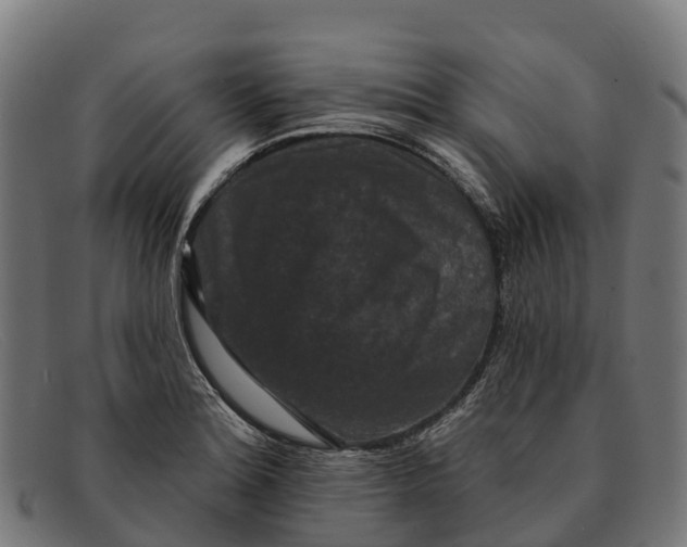 X0000091671180200709131523