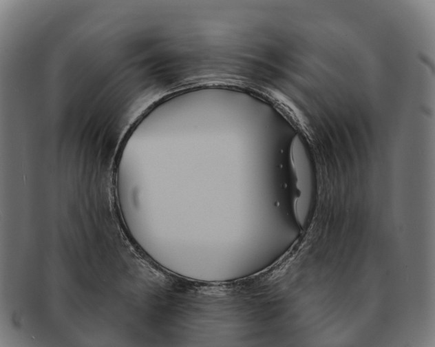 X0000091671182200709131523