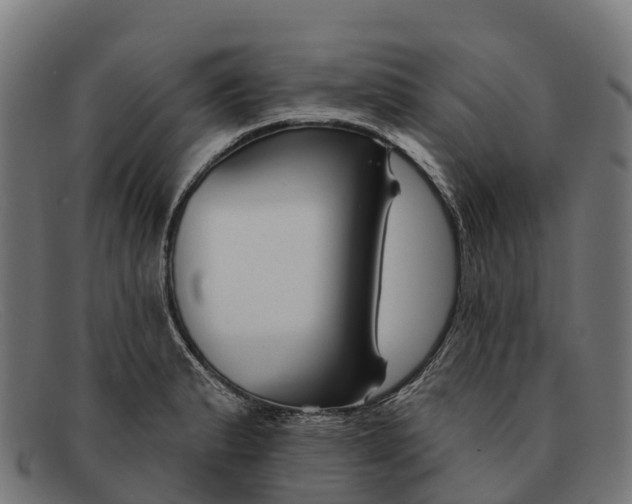 X0000091671183200709131523